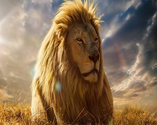 Comprar juego de tronos puzzle 3d king 🥇 【 desde 25,88 ...